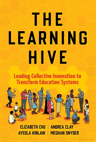 The Learning Hive: Leading Collective Innovation to Transform Education Systems - Elizabeth Chu [KSIĄŻKA]
