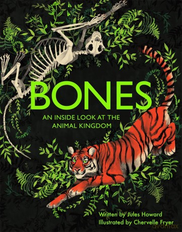 Bones: An inside look at the animal kingdom - Jules Howard [KSIĄŻKA]