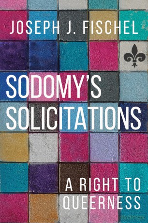 Sodomy's Solicitations: A Right to Queerness (Sexuality Studies) - Joseph J Fischel [KSIĄŻKA]