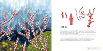 Crystals, Rocks, and Gemstones: Exploring Earth's Treasures - Kelsey Oseid [KSIĄŻKA]