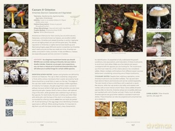 Dr. Fun Guy's Passport to Kingdom Fungi: A Scientist's Guide to the Wild and Wonderful World of Mushrooms, Molds, and More - Gordon Walker [KSIĄŻKA]
