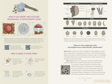 Dr. Fun Guy's Passport to Kingdom Fungi: A Scientist's Guide to the Wild and Wonderful World of Mushrooms, Molds, and More - Gordon Walker [KSIĄŻKA]