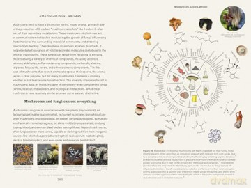 Dr. Fun Guy's Passport to Kingdom Fungi: A Scientist's Guide to the Wild and Wonderful World of Mushrooms, Molds, and More - Gordon Walker [KSIĄŻKA]