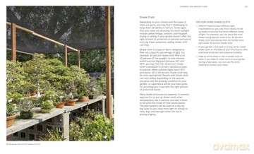 The Essential Bonsai Book: Techniques for Creating Beautiful Trees - Jonas Dupuich [KSIĄŻKA]
