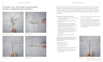 The Essential Bonsai Book: Techniques for Creating Beautiful Trees - Jonas Dupuich [KSIĄŻKA]
