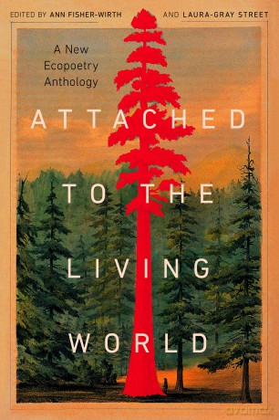 Attached to the Living World: A New Ecopoetry Anthology - Ann Fisher-Wirth [KSIĄŻKA]