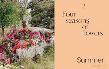 Secrets from the Flower Farm: Growing abundant flowers in unpredictable conditions (November OF Draft Layout) - Rebecca Starling [KSIĄŻKA]