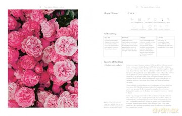 Secrets from the Flower Farm: Growing abundant flowers in unpredictable conditions (November OF Draft Layout) - Rebecca Starling [KSIĄŻKA]