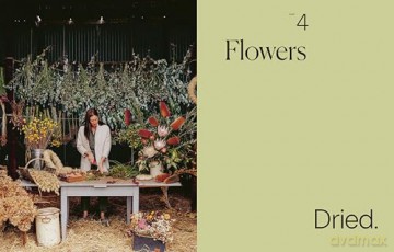 Secrets from the Flower Farm: Growing abundant flowers in unpredictable conditions (November OF Draft Layout) - Rebecca Starling [KSIĄŻKA]