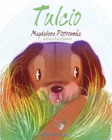Tulcio [KSIĄŻKA]