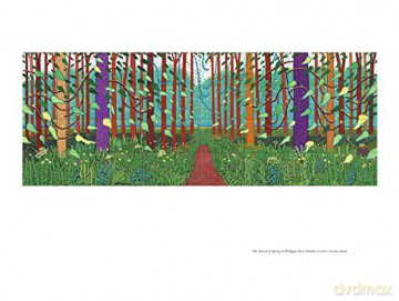 A Bigger Message: Conversations with David Hockney - Martin Gayford [KSIĄŻKA]