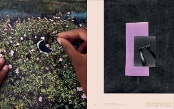 Black Earth Rising: Colonialism and Climate Change in Contemporary Art - Ekow Eshun [KSIĄŻKA]