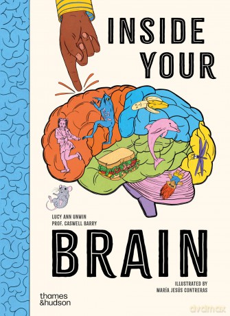 Inside Your Brain: 10 discoveries that reveal how the brain works - Lucy Ann Unwin [KSIĄŻKA]