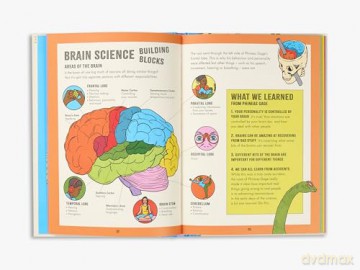 Inside Your Brain: 10 discoveries that reveal how the brain works - Lucy Ann Unwin [KSIĄŻKA]