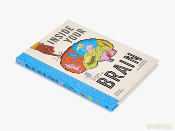 Inside Your Brain: 10 discoveries that reveal how the brain works - Lucy Ann Unwin [KSIĄŻKA]