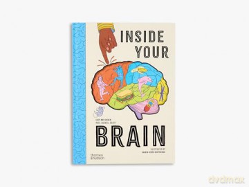 Inside Your Brain: 10 discoveries that reveal how the brain works - Lucy Ann Unwin [KSIĄŻKA]