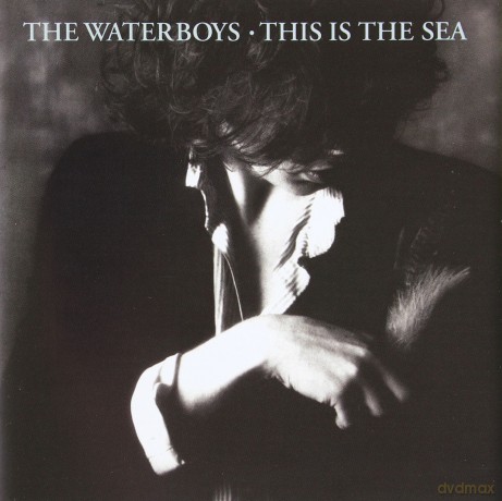 The Waterboys: This Is The Sea-Remastered [2CD]