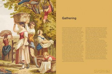 Repast (British Museum): The Story of Food - Jenny Linford [KSIĄŻKA]