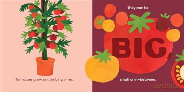 Our Food Grows - Sarah M. White [KSIĄŻKA]
