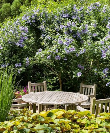 The Gardens of the Hamptons: Grand Estates, Village Jewels, and Public Sanctuaries - Blue Carreon [KSIĄŻKA]