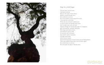 Six Feet Short of the Moon: Poems by Matthew Wong - Matthew Wong [KSIĄŻKA]