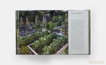 The Art of Fine Gardening: Craig Bergmann Landscape Design - Craig Bergmann [KSIĄŻKA]