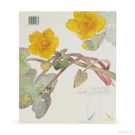 Hilma af Klint: What Stands Behind the Flowers - Jodi Hauptman [KSIĄŻKA]