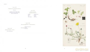 Hilma af Klint: What Stands Behind the Flowers - Jodi Hauptman [KSIĄŻKA]