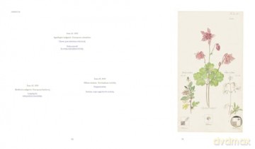 Hilma af Klint: What Stands Behind the Flowers - Jodi Hauptman [KSIĄŻKA]