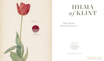 Hilma af Klint: What Stands Behind the Flowers - Jodi Hauptman [KSIĄŻKA]