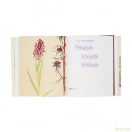Hilma af Klint: What Stands Behind the Flowers - Jodi Hauptman [KSIĄŻKA]