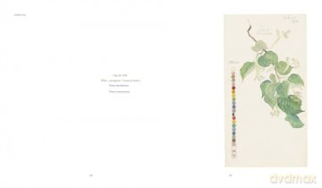 Hilma af Klint: What Stands Behind the Flowers - Jodi Hauptman [KSIĄŻKA]