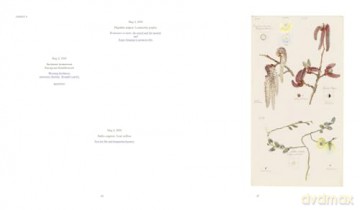 Hilma af Klint: What Stands Behind the Flowers - Jodi Hauptman [KSIĄŻKA]