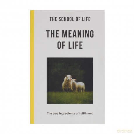 The Meaning of Life: the true ingredients of fulfilment - The School of Life [KSIĄŻKA]