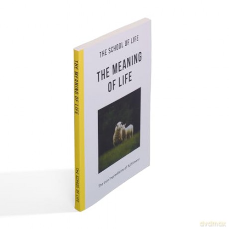 The Meaning of Life: the true ingredients of fulfilment - The School of Life [KSIĄŻKA]