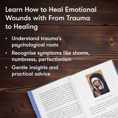 The School of Life: From Trauma to Healing - A compassionate guide to recognise, process and move beyond emotional pain: How to locate, process and recover from psychological wounds - The School of Life [KSIĄŻKA]