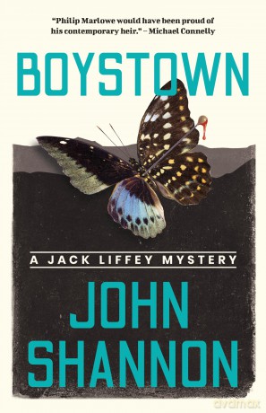 Boystown: 15 (Jack Liffey Series, 15) - John Shannon [KSIĄŻKA]