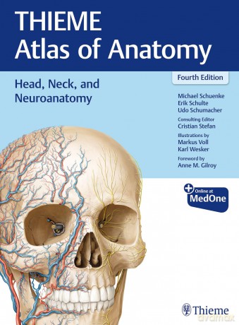 Head, Neck, and Neuroanatomy (THIEME Atlas of Anatomy) - Michael Schuenke [KSIĄŻKA]