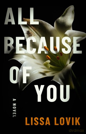 All Because of You: A Novel - Lissa Lovik [KSIĄŻKA]