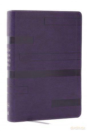 Color Code Study Bible, Revealing God's Truth Color by Color (NKJV, Purple Leathersoft, Red Letter) - Thomas Nelson [KSIĄŻKA]