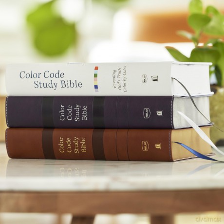 Color Code Study Bible, Revealing God's Truth Color by Color (NKJV, Purple Leathersoft, Red Letter) - Thomas Nelson [KSIĄŻKA]