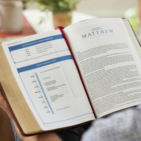 LSB MacArthur Study Bible 2nd Edition: Unleashing God's Truth One Verse at a Time (Brown Leathersoft, Comfort Print, Thumb Indexed) - John F. MacArthur [KSIĄŻKA]