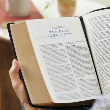 LSB MacArthur Study Bible 2nd Edition: Unleashing God's Truth One Verse at a Time (Brown Leathersoft, Comfort Print, Thumb Indexed) - John F. MacArthur [KSIĄŻKA]