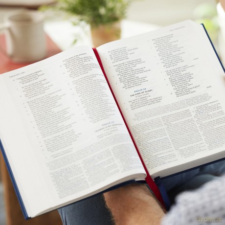 LSB MacArthur Study Bible 2nd Edition: Unleashing God's Truth One Verse at a Time (Brown Leathersoft, Comfort Print, Thumb Indexed) - John F. MacArthur [KSIĄŻKA]