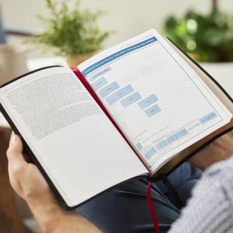 LSB MacArthur Study Bible 2nd Edition: Unleashing God's Truth One Verse at a Time (Brown Leathersoft, Comfort Print, Thumb Indexed) - John F. MacArthur [KSIĄŻKA]