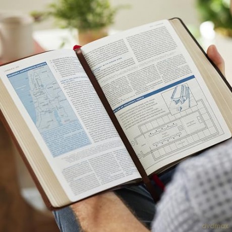 LSB MacArthur Study Bible 2nd Edition: Unleashing God's Truth One Verse at a Time (Brown Leathersoft, Comfort Print, Thumb Indexed) - John F. MacArthur [KSIĄŻKA]