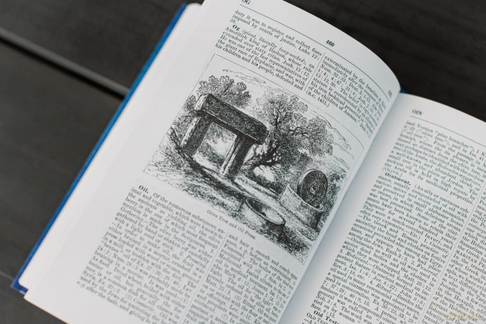 Smith's Bible Dictionary: More than 6,000 Detailed Definitions, Articles, and Illustrations - William Smith [KSIĄŻKA]