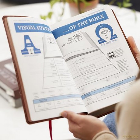 The Open Bible: Read and Discover the Bible for Yourself (NKJV, Hardcover, Red Letter, Comfort Print): The Open Bible: Nkjv, Read and Discover the Bible for Yourself, Red Letter, Comfort Print - Thomas Nelson [KSIĄŻKA]