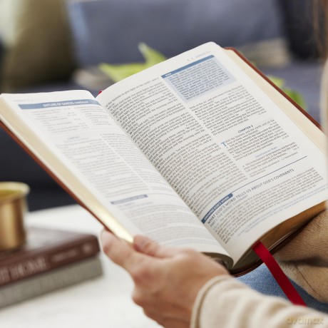 The Open Bible: Read and Discover the Bible for Yourself (NKJV, Hardcover, Red Letter, Comfort Print): The Open Bible: Nkjv, Read and Discover the Bible for Yourself, Red Letter, Comfort Print - Thomas Nelson [KSIĄŻKA]