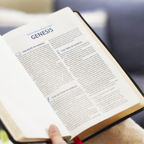 The Open Bible: Read and Discover the Bible for Yourself (NKJV, Hardcover, Red Letter, Comfort Print): The Open Bible: Nkjv, Read and Discover the Bible for Yourself, Red Letter, Comfort Print - Thomas Nelson [KSIĄŻKA]